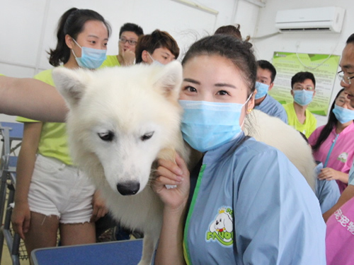 41期美容班薩摩耶美容養護實操課