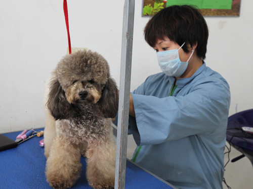 43期美容班美容修剪實操