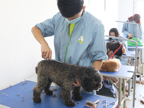 43期美容班美容修剪實操課