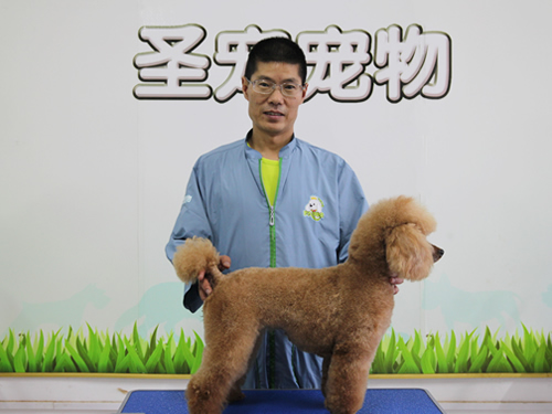 高中生學寵物美容怎樣
