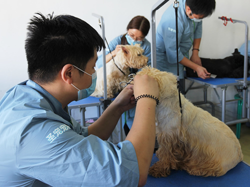 44期美容班修造美容護理實操課