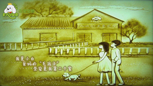 圣寵-狗狗的第二個“家”