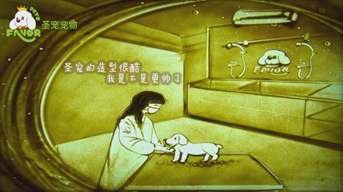 圣寵-狗狗的第二個“家”