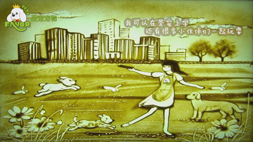 圣寵-狗狗的第二個“家”
