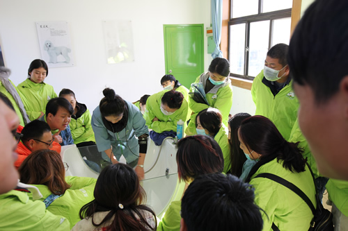 圣寵47期犬只洗澡示范課