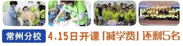 重磅追擊 | 圣寵常州分校“有顏有料又優惠”「4月15號開課」