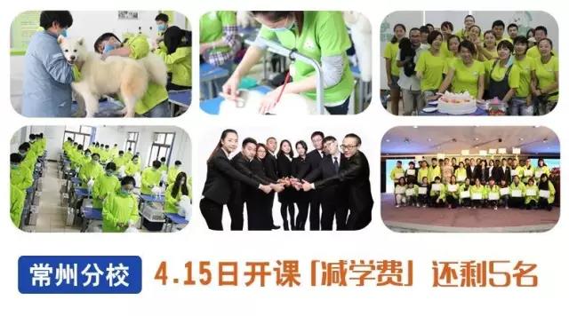 重磅追擊 | 圣寵常州分校“有顏有料又優惠”「4月15號開課」