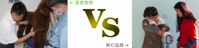 13-1F512112557.png