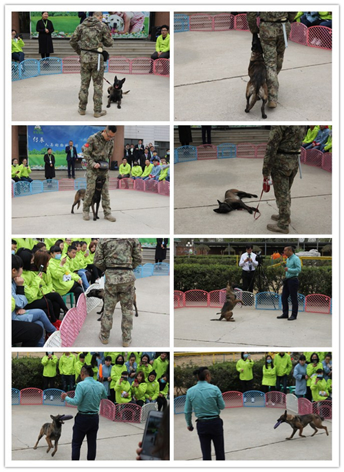 圣寵培訓首屆馴美交流會,為什么美容師要學馴犬!