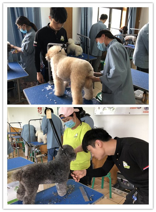 我們81期首席行為美容師的實操課程