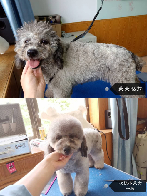 我們81期首席行為美容師的實操課程