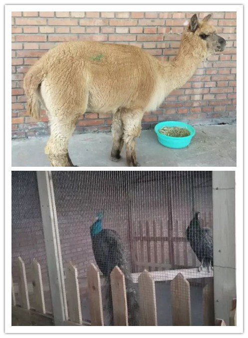 今天·我入學第2期行為美容師B級班·開啟新的人生技能篇章