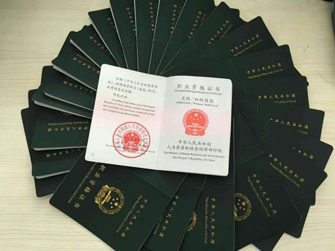 學習寵物美容有什么好地方,要怎么選擇