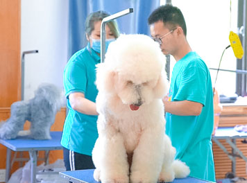 張巖同學實操課風采